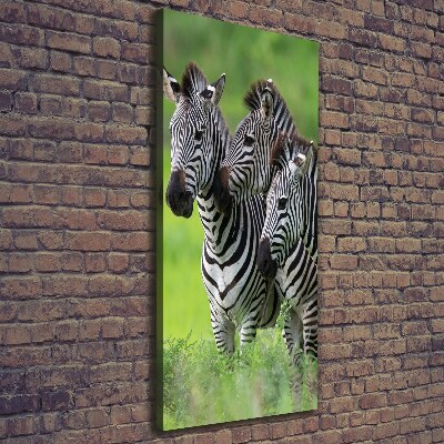 Foto leinwand vertikales Drei Zebras