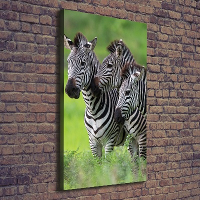 Foto leinwand vertikales Drei Zebras