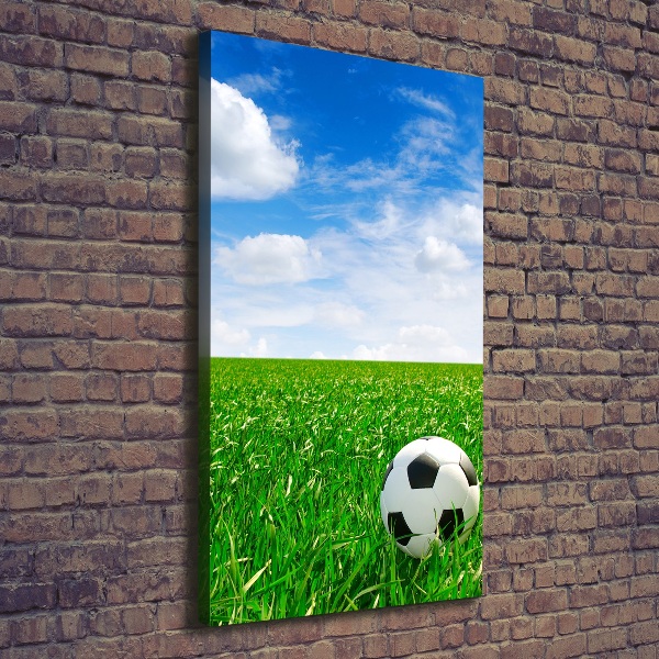 Foto leinwand vertikales Fußball auf der Wiese