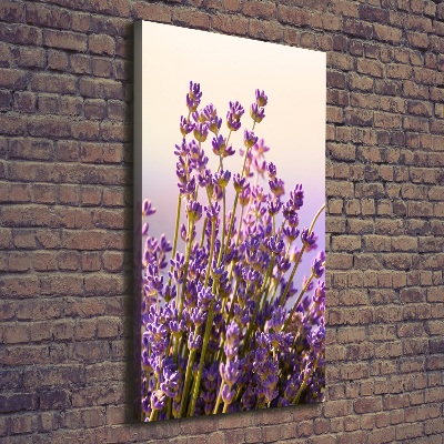 Foto leinwand vertikales Lavendel