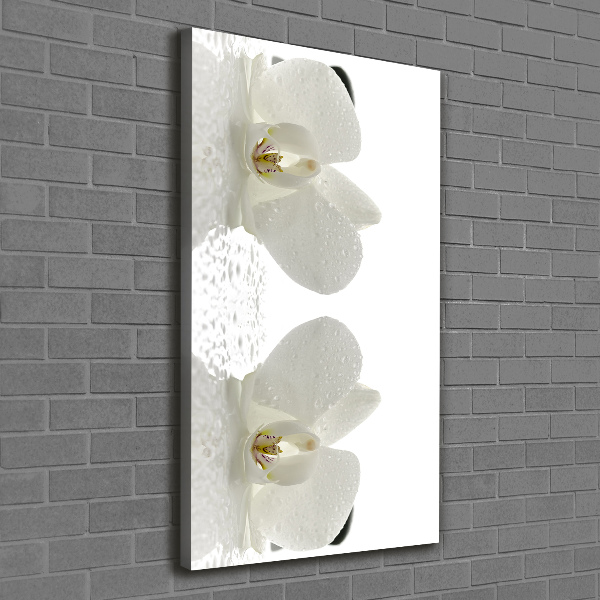 Wandbild vertikales Orchidee und Steine
