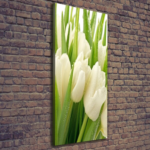 Foto leinwand vertikales Weiße Tulpen