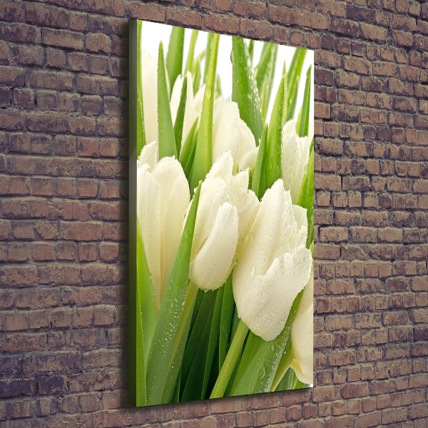 Foto leinwand vertikales Weiße Tulpen