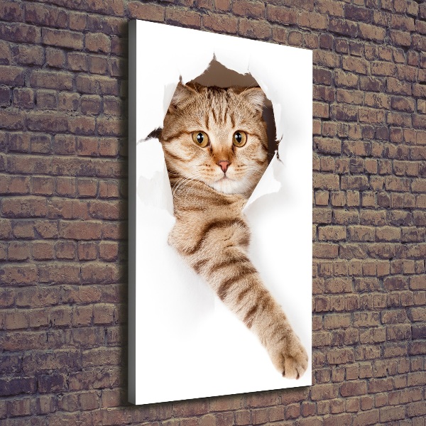 Foto leinwand vertikales Katze
