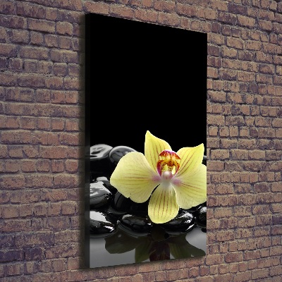 Foto auf leinwand vertikales Orchidee und Steine
