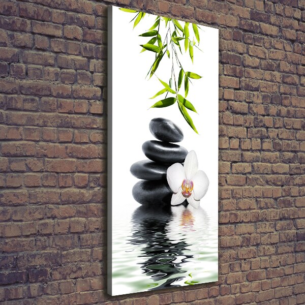 Foto leinwand vertikales Orchidee und Steine