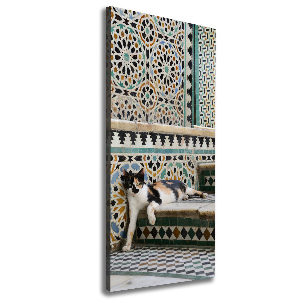 Wandbild vertikales Eine Katze in Marokko