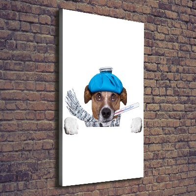 Foto auf leinwand vertikales Kranker Hund