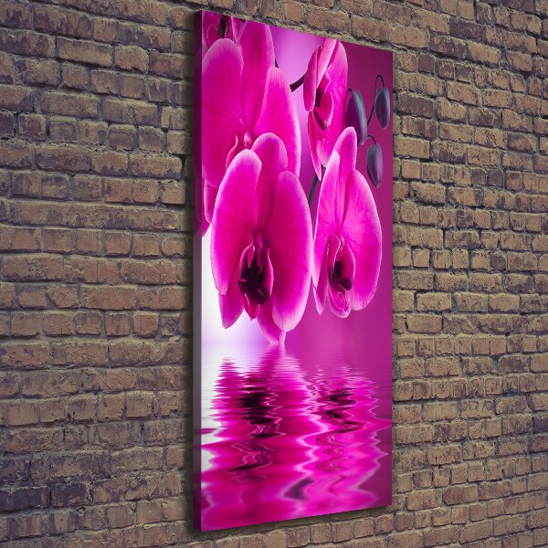 Foto leinwand vertikales Rosa Orchidee