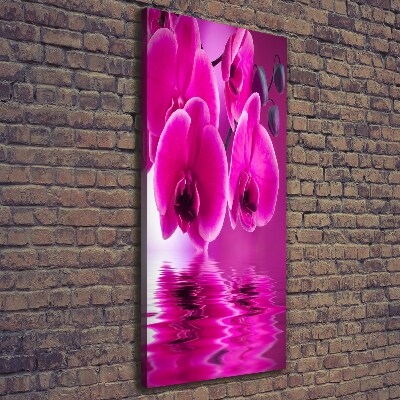 Foto leinwand vertikales Rosa Orchidee