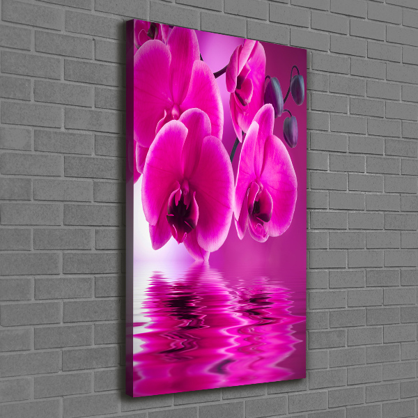 Foto leinwand vertikales Rosa Orchidee