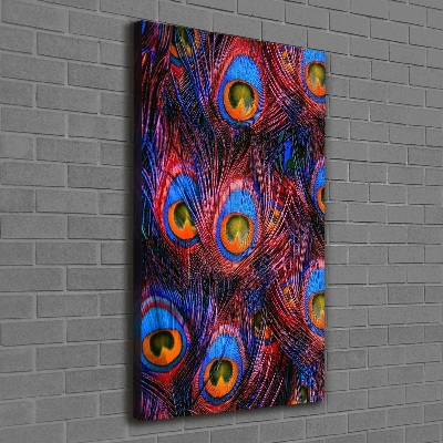 Foto auf leinwand vertikales Pfauenfedern