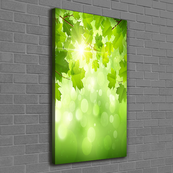 Foto leinwand vertikales Grüne Blätter