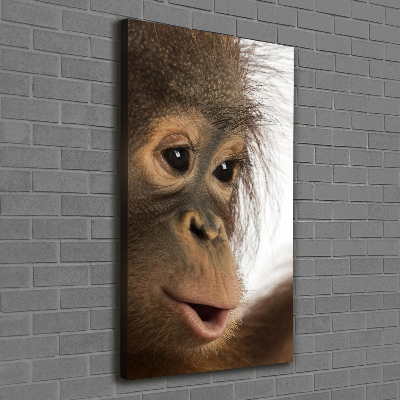 Foto leinwand vertikales Junger Orang-Utan