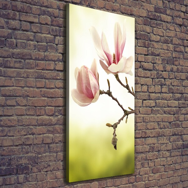 Foto auf leinwand vertikales Magnolienblüten