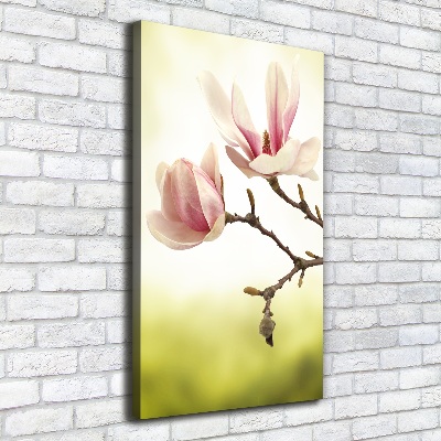 Foto auf leinwand vertikales Magnolienblüten
