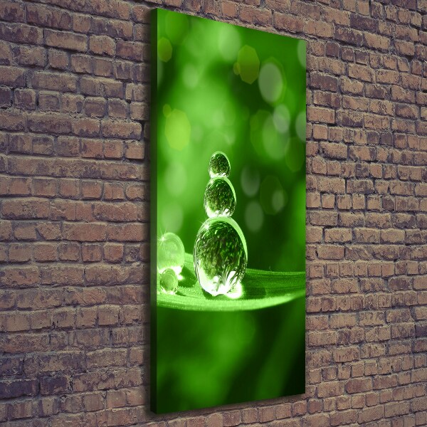 Wandbild vertikales Tropfen auf dem Gras