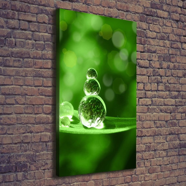 Wandbild vertikales Tropfen auf dem Gras