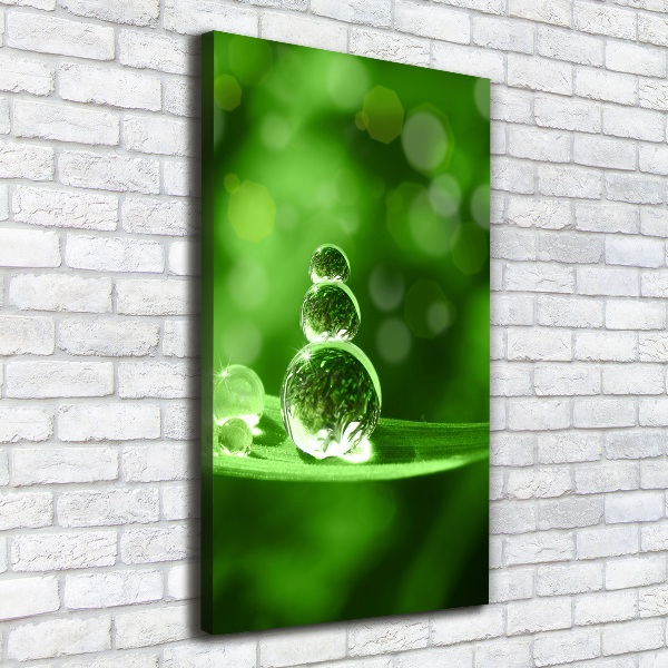 Wandbild vertikales Tropfen auf dem Gras