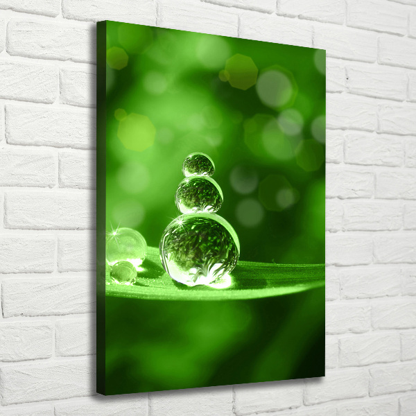 Wandbild vertikales Tropfen auf dem Gras