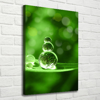 Wandbild vertikales Tropfen auf dem Gras