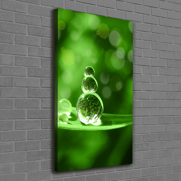 Wandbild vertikales Tropfen auf dem Gras