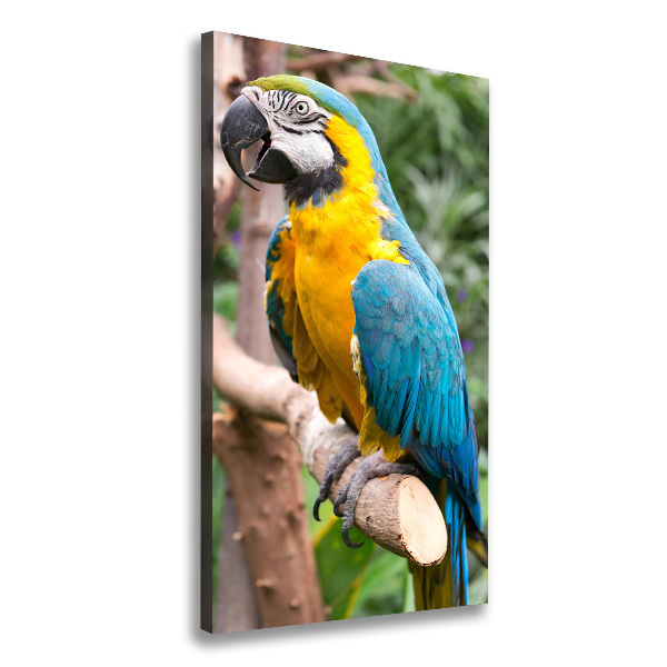 Foto leinwand vertikales Ara-Papagei