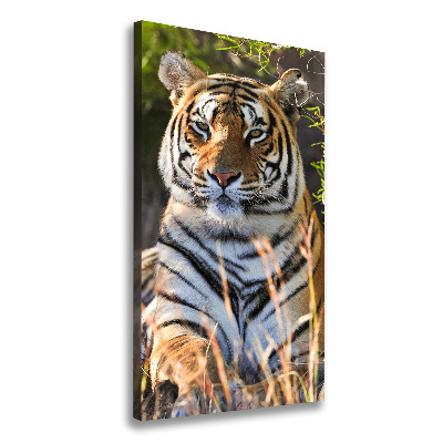 Wandbild vertikales Tiger