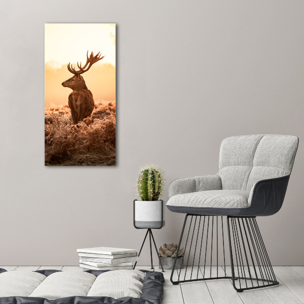 Foto leinwand vertikales Hirsch-Sonnenaufgang