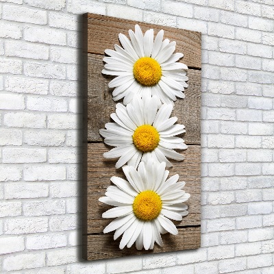 Foto auf leinwand vertikales Kamille auf Holz