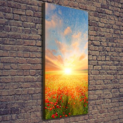 Wandbild vertikales Mohnfeld