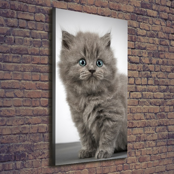 Foto auf leinwand vertikales Graue britische Katze