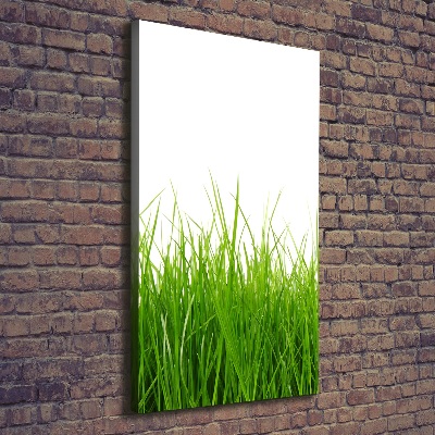 Wandbild vertikales Grünes Gras