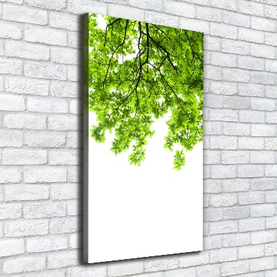 Foto leinwand vertikales Baumkrone