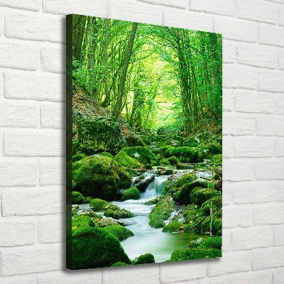 Wandbild vertikales Ein Bach im Dschungel