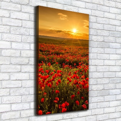 Foto leinwand vertikales Mohnfeld