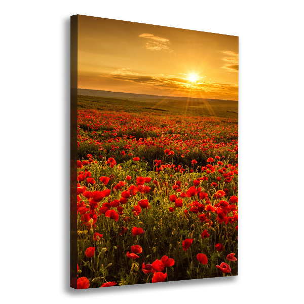 Foto leinwand vertikales Mohnfeld