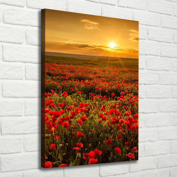 Foto leinwand vertikales Mohnfeld