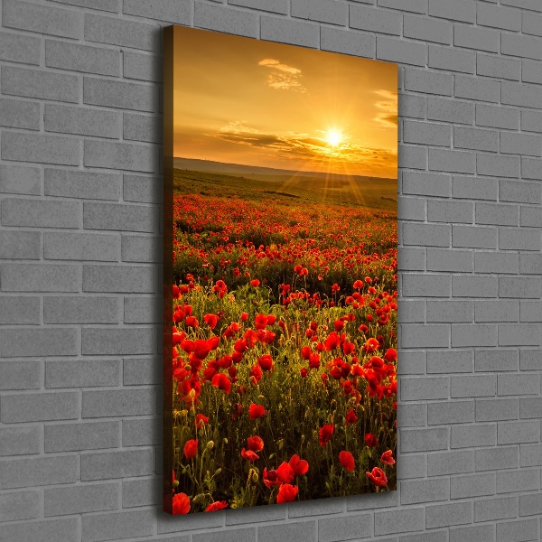 Foto leinwand vertikales Mohnfeld