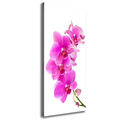 Foto auf leinwand vertikales Rosa Orchidee