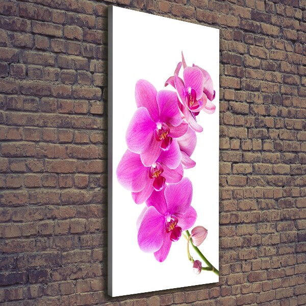 Foto auf leinwand vertikales Rosa Orchidee