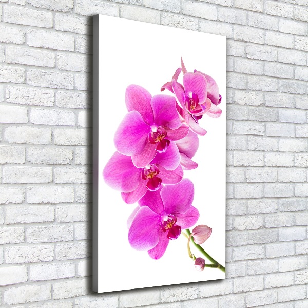 Foto auf leinwand vertikales Rosa Orchidee