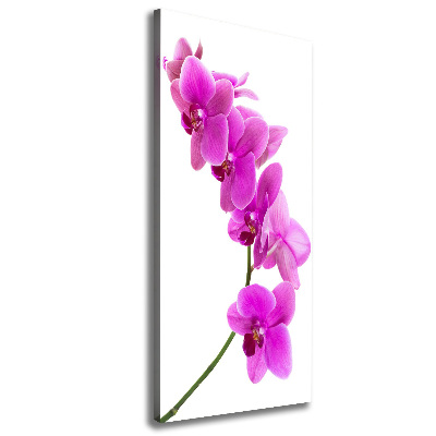 Wandbild vertikales Rosa Orchidee