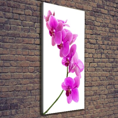 Wandbild vertikales Rosa Orchidee