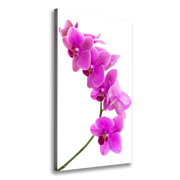 Wandbild vertikales Rosa Orchidee
