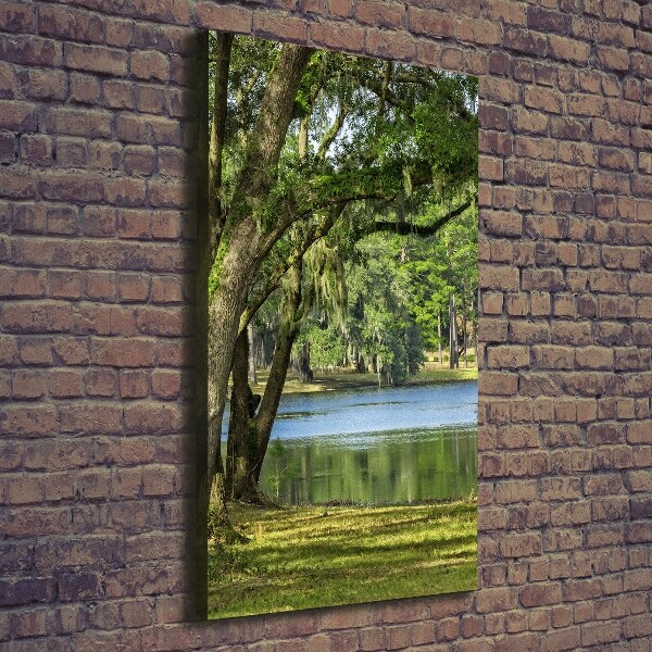 Foto auf leinwand vertikales See im Park