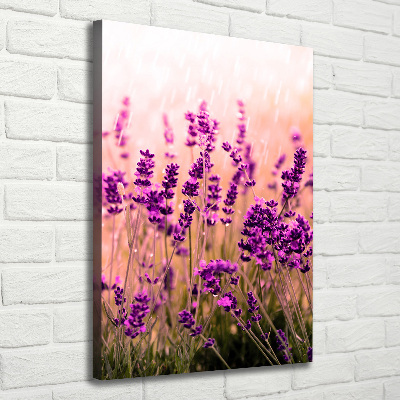 Foto leinwand vertikales Lavendelfeld