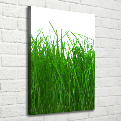 Wandbild vertikales Gras