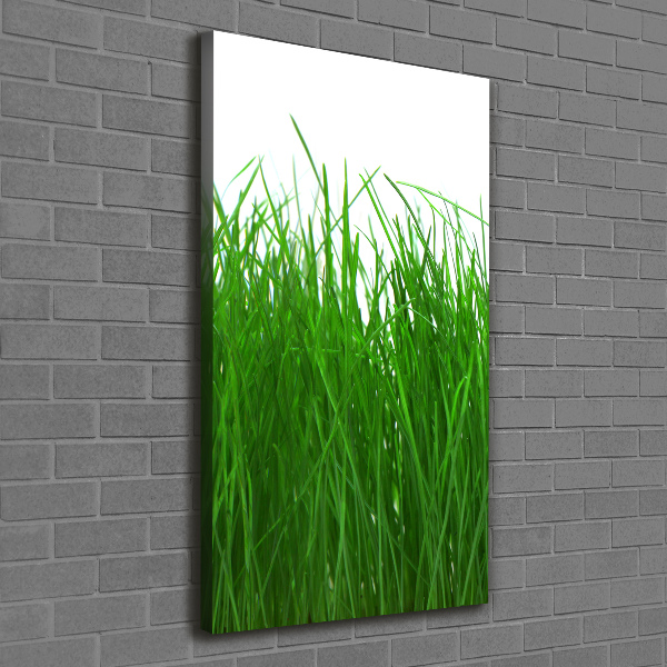 Wandbild vertikales Gras