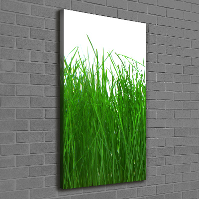 Wandbild vertikales Gras